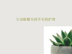 主动脉瓣关闭不全的护理课件