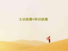 主动脉瓣+肺动脉瓣课件