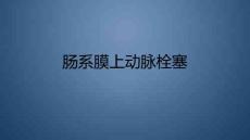 肠系膜上动脉栓塞诊断