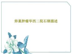 卵巢肿瘤课件