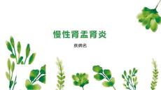 慢性肾盂肾炎