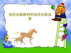 冠状动脉解剖和冠状动脉造影课件