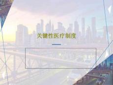 關鍵性醫療制度課件