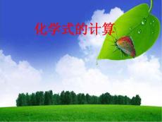 化學(xué)式計(jì)算課件