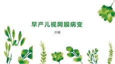 早产儿视网膜病变