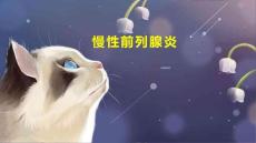 慢性前列腺炎