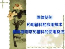 口服固體制劑藥用輔料的應用技術課件