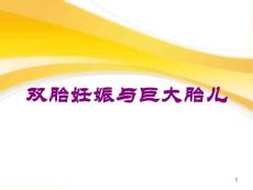 雙胎妊娠與巨大胎兒培訓課件