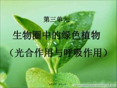 北師大版生物中考第一輪復(fù)習(xí)七年級(jí)上第三單元第5章第1課件