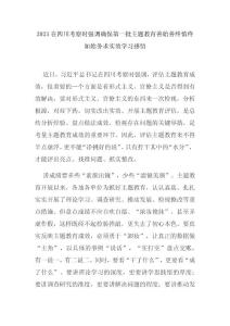 2023在四川考察時強調(diào)確保第一批主題教育善始善終慎終如始務求實效學習感悟3篇