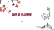 颈动脉海绵窦瘘