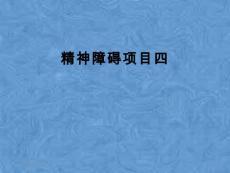 精神障碍项目四