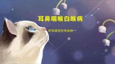 耳鼻咽喉白喉病