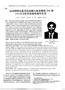 运动和胰岛素对高血糖大鼠骨骼肌JNK 和P38 信号传导系统的调节作用木