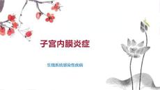 子宫内膜炎症