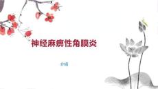 神经麻痹性角膜炎