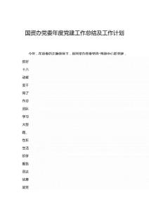 國資辦黨委年度黨建工作總結及工作計劃