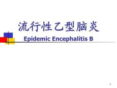 乙型脑炎课件