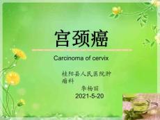 宫颈癌课件