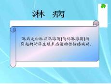 淋病课件