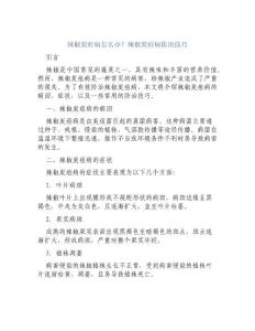 辣椒炭疽病怎么办辣椒炭疽病防治技巧