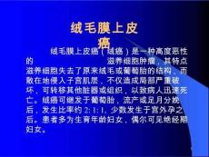 绒毛膜上皮癌课件
