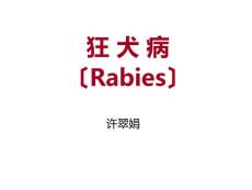 狂犬病课件