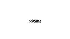 尖锐湿疣诊疗方案