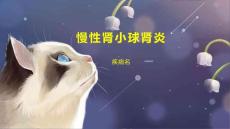 慢性肾小球肾炎
