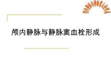 颅内静脉与静脉窦血栓形成课件