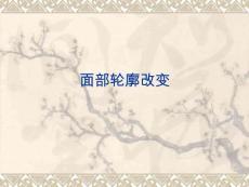 面部轮廓改变课件