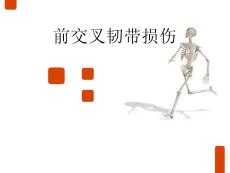 前交叉韧带损伤PPT