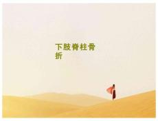 下肢脊柱骨折课件