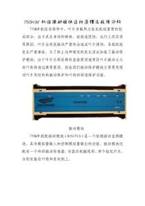 簡述S48 750kW機(jī)組振動(dòng)模塊運(yùn)行原理及故障分析