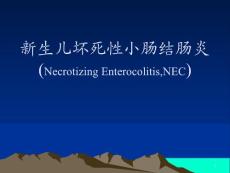 新生儿坏死性小肠结肠炎课件