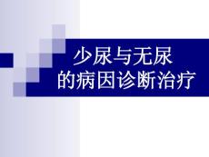 少尿与无尿  的病因诊断治疗课件