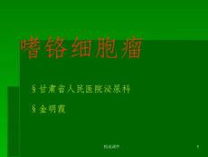 嗜铬细胞瘤幻灯课件