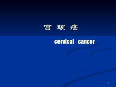 宫颈癌课件