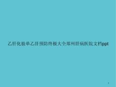 乙肝化验单乙肝预防终极大全 课件