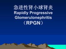 急进性肾小球肾炎课件