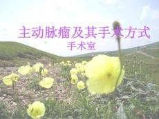 主动脉瘤手术课件