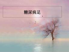糖尿病足 课件