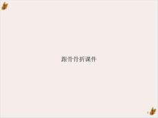 跟骨骨折ppt课件