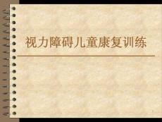 视力障碍儿童康复训练课件