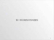 第十四章烧伤冷伤咬螫伤ppt课件