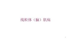 线粒体(脑)肌病培训ppt课件