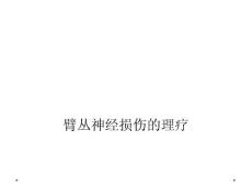 臂丛神经损伤的理疗课件