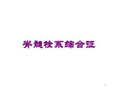 脊髓栓系综合征培训ppt课件