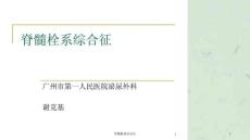 脊髓栓系综合征ppt课件