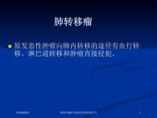 肺转移瘤和韦格肉芽肿影像鉴别培训ppt课件